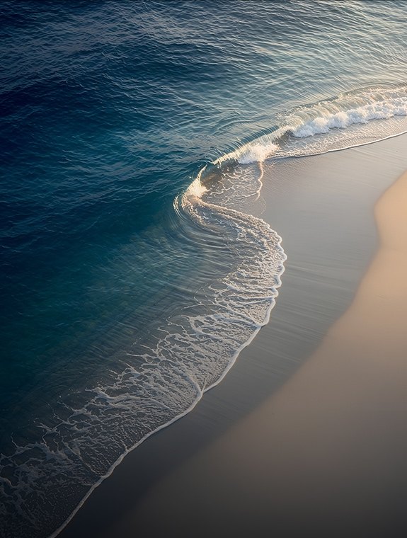 SEA — 육지와 바다가 만나는 지점